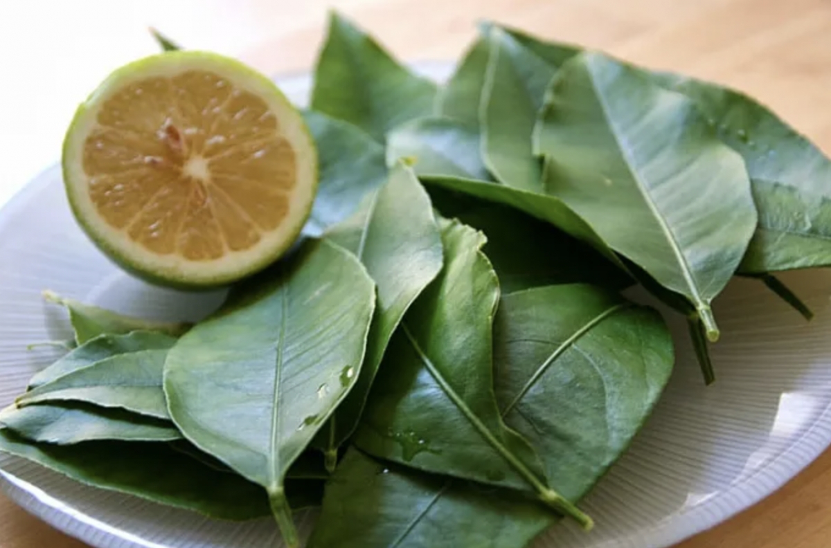 Công dụng tuyệt vời của lá chanh không thể bỏ qua